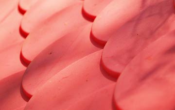 Cuidhtinis plastic roof costs